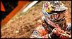 Herlings