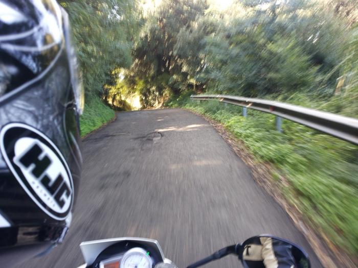 salita nel bosco