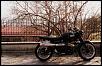 GreenBlack Scrambler