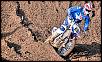 Cairoli