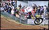 Dungey