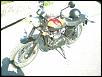 prime scrambler 2012