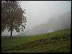nebbia  4 novembre