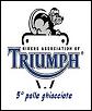 logo palle ghiacciate