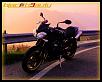 Black Beauty Street R 012