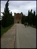 IMG 0478   Copia