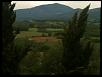 IMG 0496