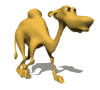 L'avatar di Camel