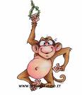 L'avatar di monkey