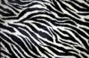 L'avatar di Donna Zebra