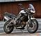 Avatar di Highline76