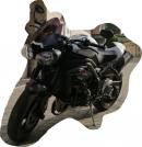 Avatar di rotomax